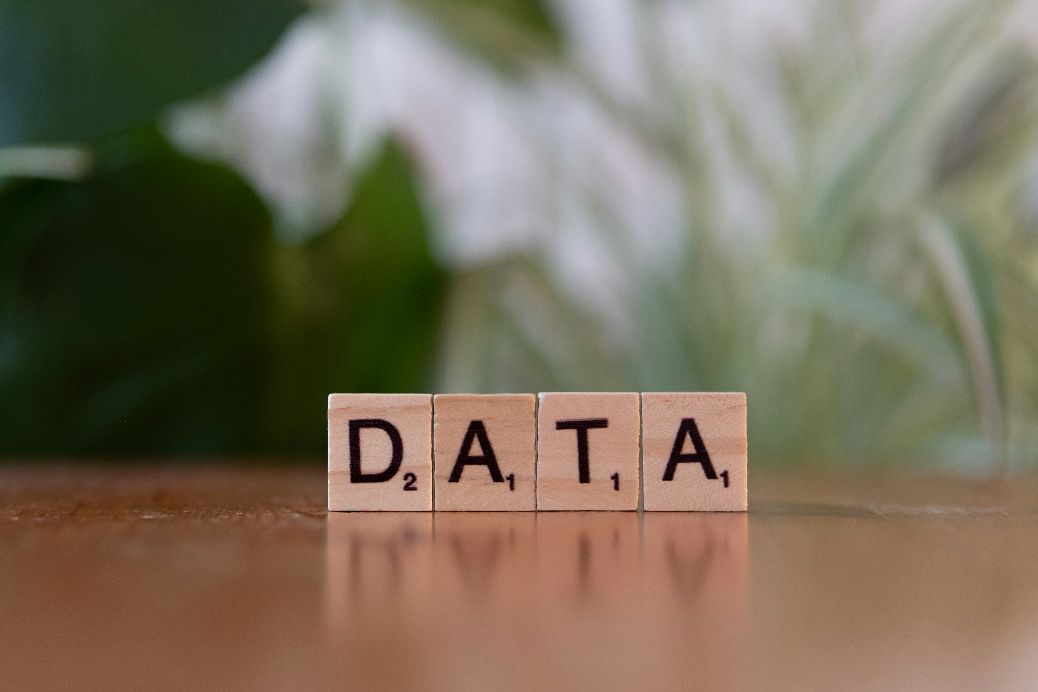 Data Exportation